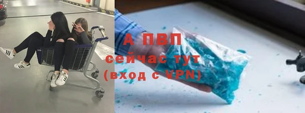 стафф Навашино