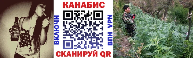 Бошки марихуана сатива Купить закладки Козловка